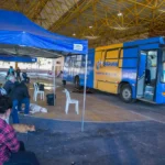 Corumbá amplia vagas para castração de cães e gatos