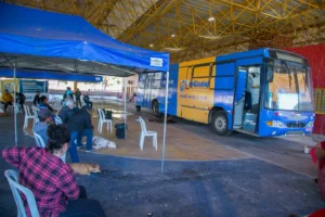 Leia mais sobre o artigo Corumbá amplia vagas para castração de cães e gatos