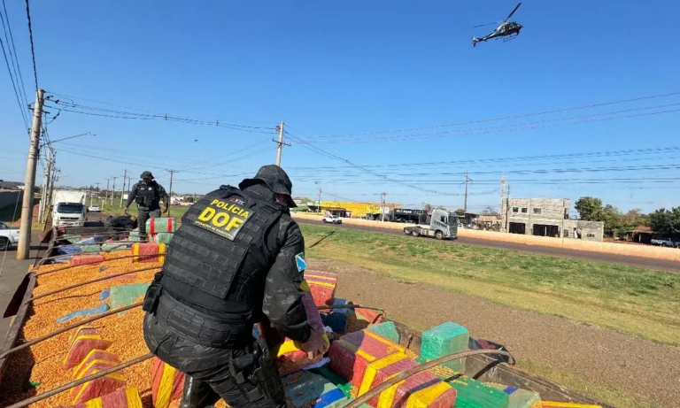 DOF apreende mais de 15 toneladas de maconha escondidas em carga de milho durante abordagem em Amambai.