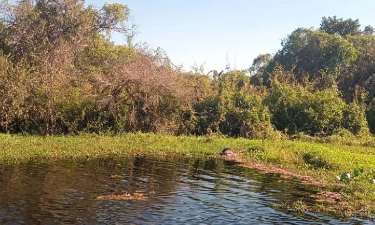 Corpo boiando no paraguai mirim rio pacu