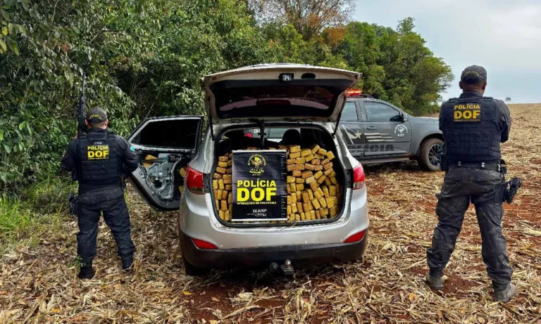 DOF apreende quase 900 kg de maconha em veículo furtado em Campo Grande durante ação em Ponta Porã.