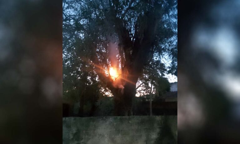 Bombeiros combatem incêndio em terreno baldio no Centro de Ladário; fogo atingiu árvore e exigiu uso de 800 litros de água. Ocorrência reforça alerta para seca