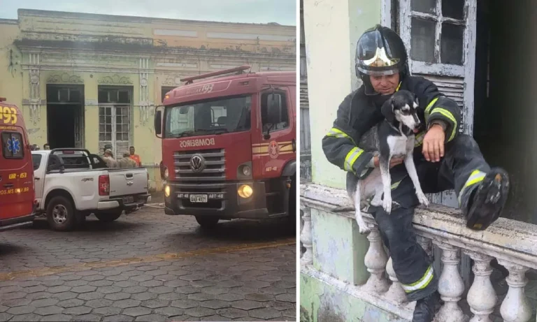 Casarão abandonado pega fogo em Corumbá e bombeiros resgatam cachorro sem ferimentos