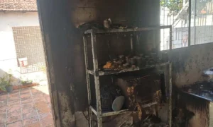 Leia mais sobre o artigo Air Fryer ligada com micro-ondas provoca princípio de incêndio em Corumbá