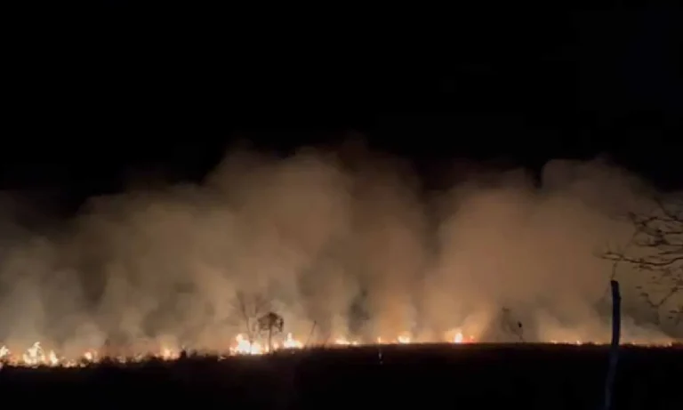 Bombeiros registram cinco incêndios em vegetação em Corumbá e Ladário em 24h; agosto já soma 60 ocorrências.