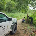 Furto de equipamentos compromete ações contra presença de onças em Corumbá