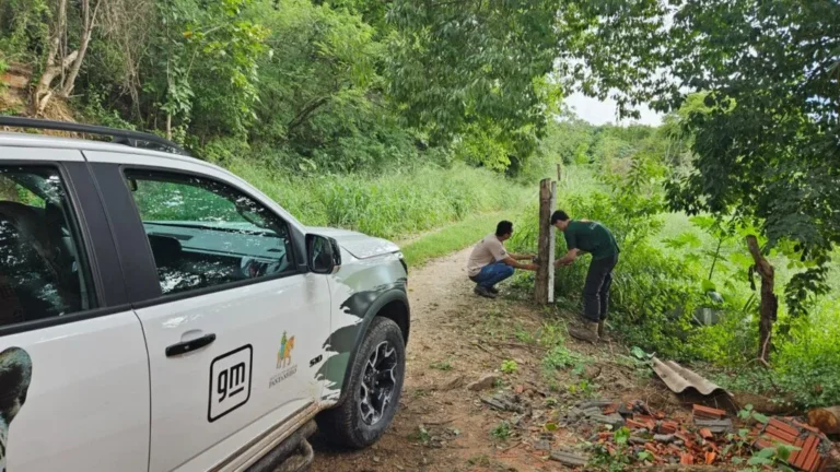 Equipamentos desaparecem em Corumbá e afetam ações de afugentamento de onças-pintadas