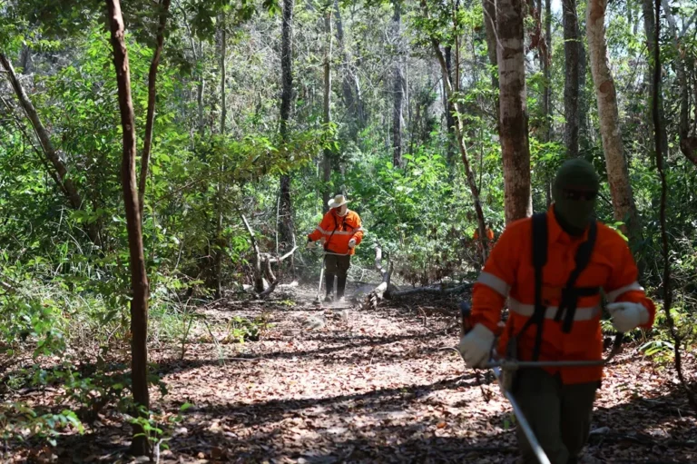 Prevenção de incêndios no Pantanal é reforçada por parceria que atua em mais de 285 mil hectares.