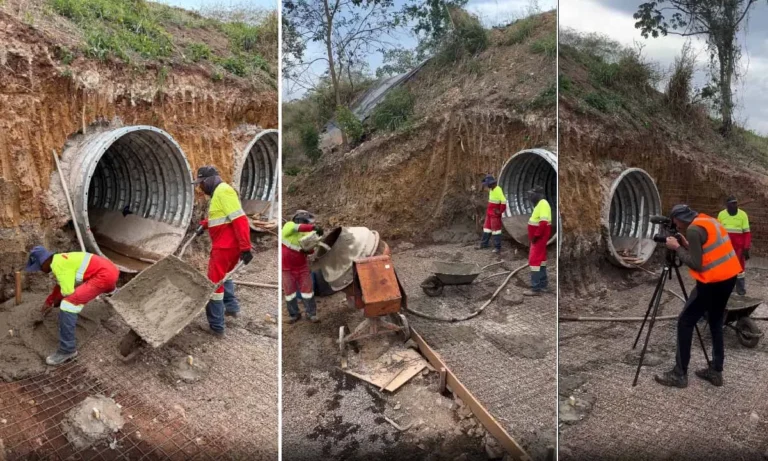 BR-262 recebe passagens subterrâneas para reduzir atropelamento de animais e preservar fauna silvestre no Pantanal.