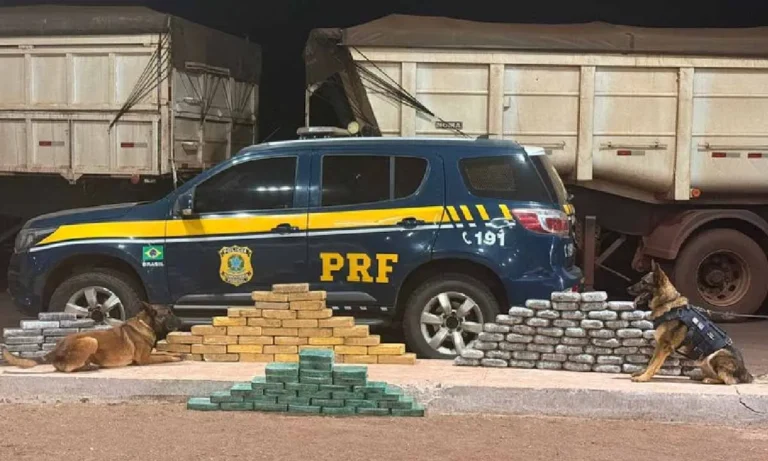 PRF apreende mais de 130 kg de drogas em caminhão na BR-262, em Terenos; carga saiu de Corumbá e iria para Piracicaba.