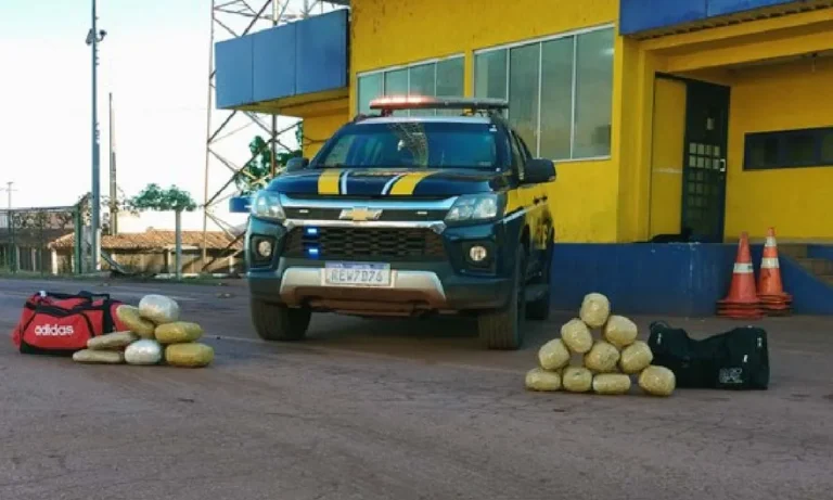 PRF apreende skunk em Corumbá durante fiscalização na BR-262; caso segue com a Polícia Federal