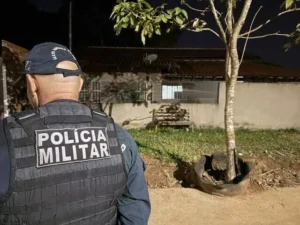 Leia mais sobre o artigo Professora é morta a facadas pelo companheiro em Ribas do Rio Pardo
