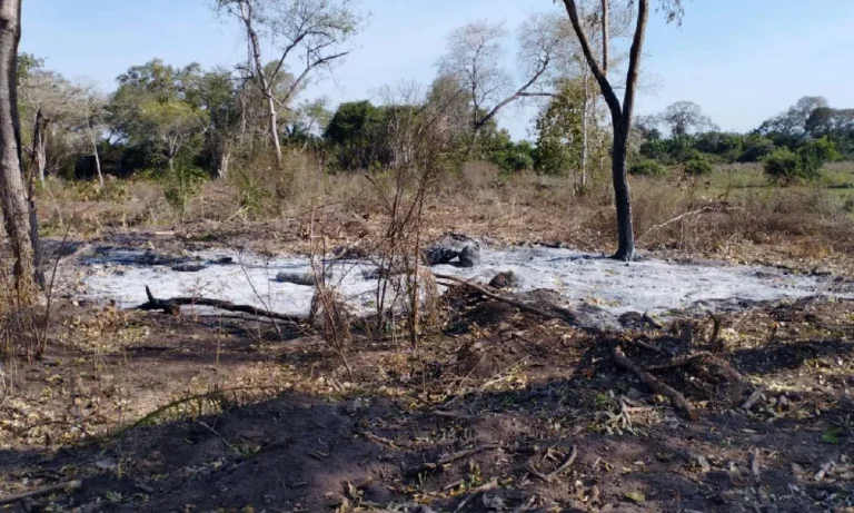 Fiscalização no Pantanal autua propriedade em Corumbá por queimada irregular identificada por imagens de satélite.