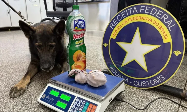 Fiscalização na fronteira apreende drogas e produtos irregulares em Corumbá