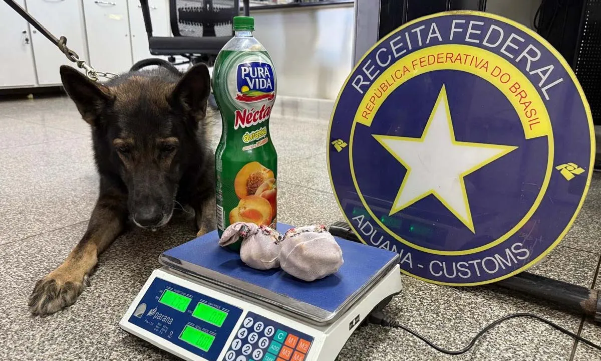 No momento, você está visualizando Fiscalização na fronteira apreende drogas e produtos irregulares em Corumbá