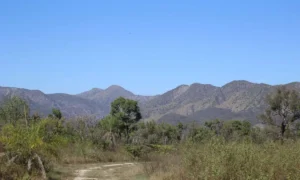 Leia mais sobre o artigo Serra do Amolar passa a contar com estação para monitoramento de sismos