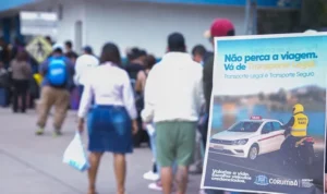 Leia mais sobre o artigo Prefeitura lança campanha para orientar população sobre transporte legal em Corumbá
