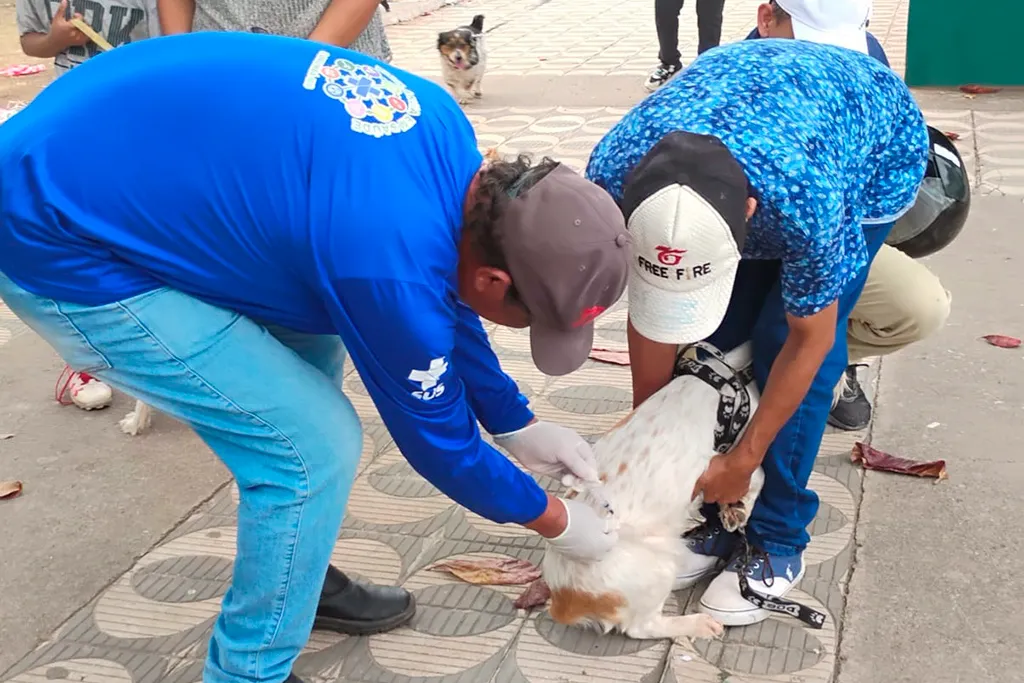 Leia mais sobre o artigo Campanha binacional vacina mais de 1,7 mil animais contra a raiva na Bolívia