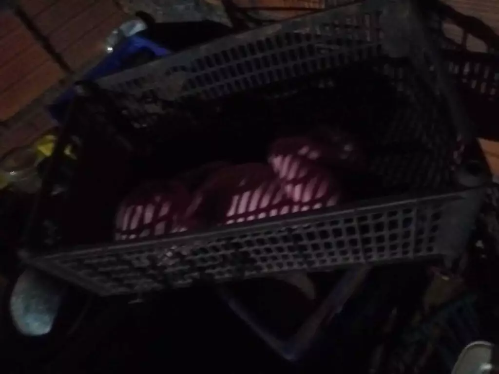 Recém-nascido é encontrado abandonado em caixa de frutas em Aquidauana 2 385mfdvz1i808