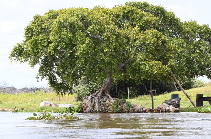 Imasul amplia monitoramento hidrológico e aponta melhora parcial na situação dos rios em 2025