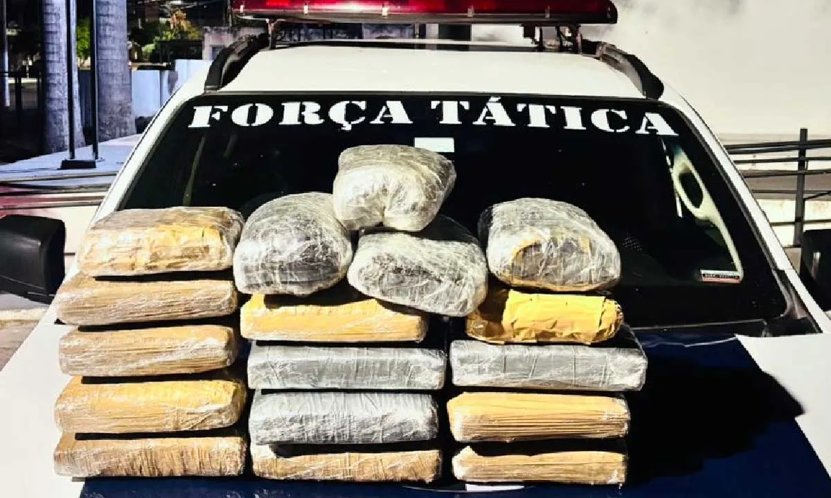 Polícia apreende 14,5 kg de maconha em fiscalização de ônibus no Posto Fiscal Lampião Aceso, em Ladário.