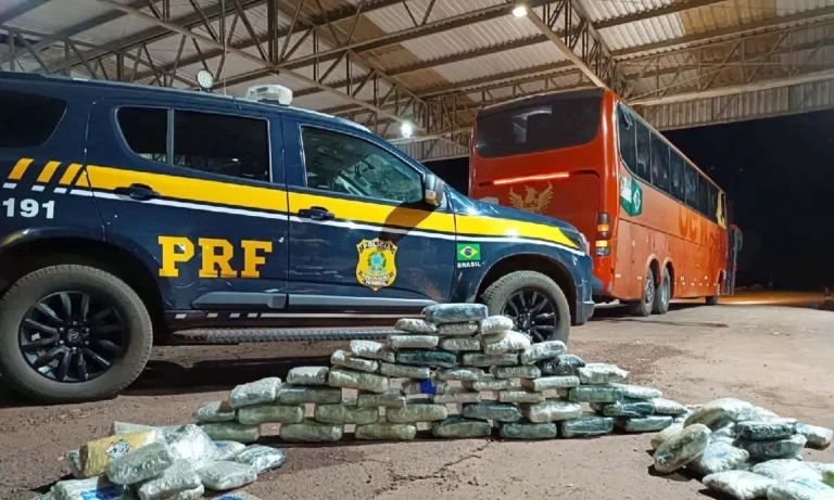 PRF apreende 60 kg de skunk em ônibus na BR-262, em Miranda; três pessoas foram levadas à Polícia Civil.