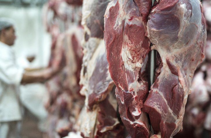 Exportações de MS somam US$ 7,24 bilhões até agosto; carne bovina cresce 43,7% no ano
