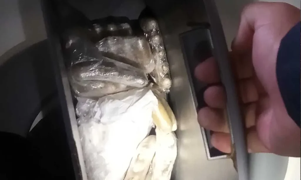 Polícia Militar apreende quase 1 kg de cocaína em ônibus de turismo na fronteira de Corumbá; passageiro foi preso.