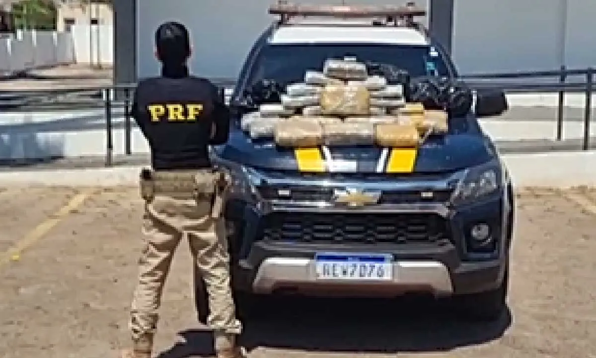 No momento, você está visualizando Passageiro é flagrado com mais de 58 kg de maconha em ônibus na BR-262