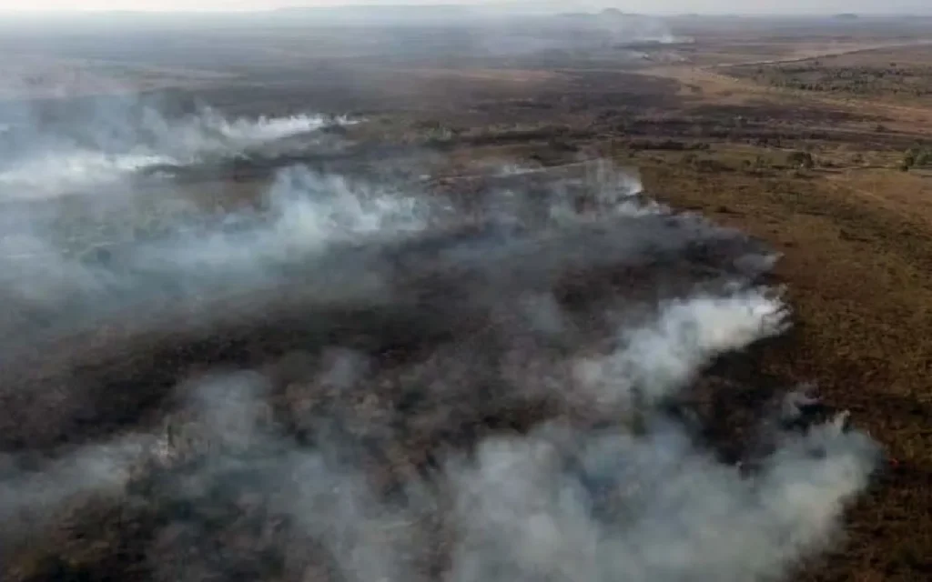 Incêndio atinge região do Forte Coimbra, em Corumbá, e mobiliza bombeiros no combate às chamas.