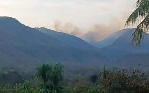 Leia mais sobre o artigo Brigada Alto Pantanal mobiliza combate a incêndio na Serra do Amolar