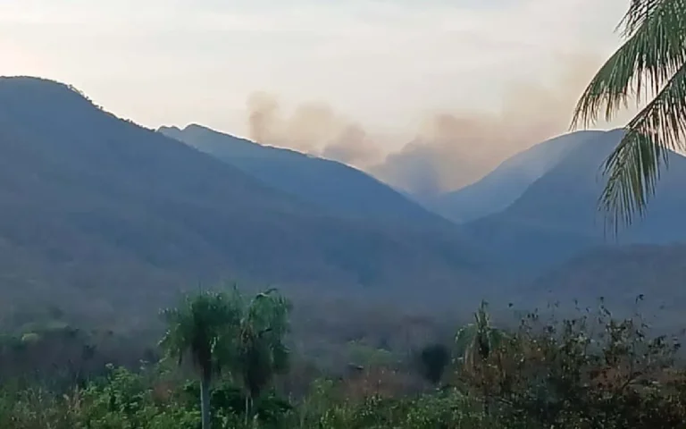 Brigada Alto Pantanal atua em incêndio na Serra do Amolar, identificado neste domingo pelo Sistema Pantera.