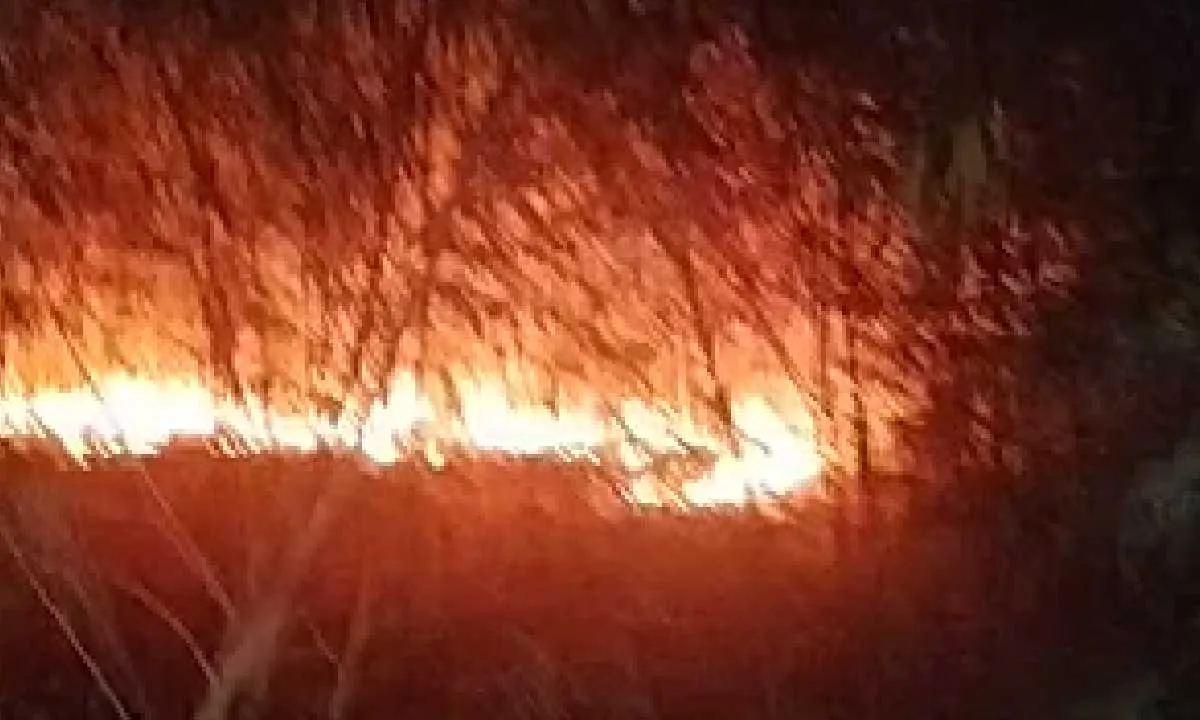 Bombeiros registram seis incêndios em terrenos baldios de Corumbá e Ladário; setembro já soma 12 ocorrências.