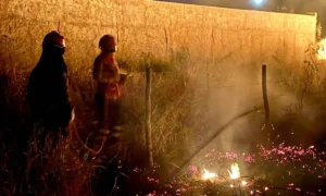 Leia mais sobre o artigo Corumbá e Ladário registram aumento de incêndios em agosto