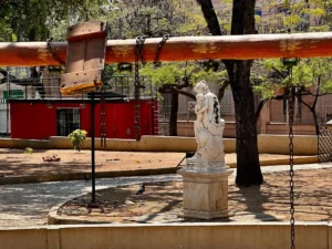 Leia mais sobre o artigo Vereadora solicita revitalização do Jardim da Independência e ações sociais em Corumbá