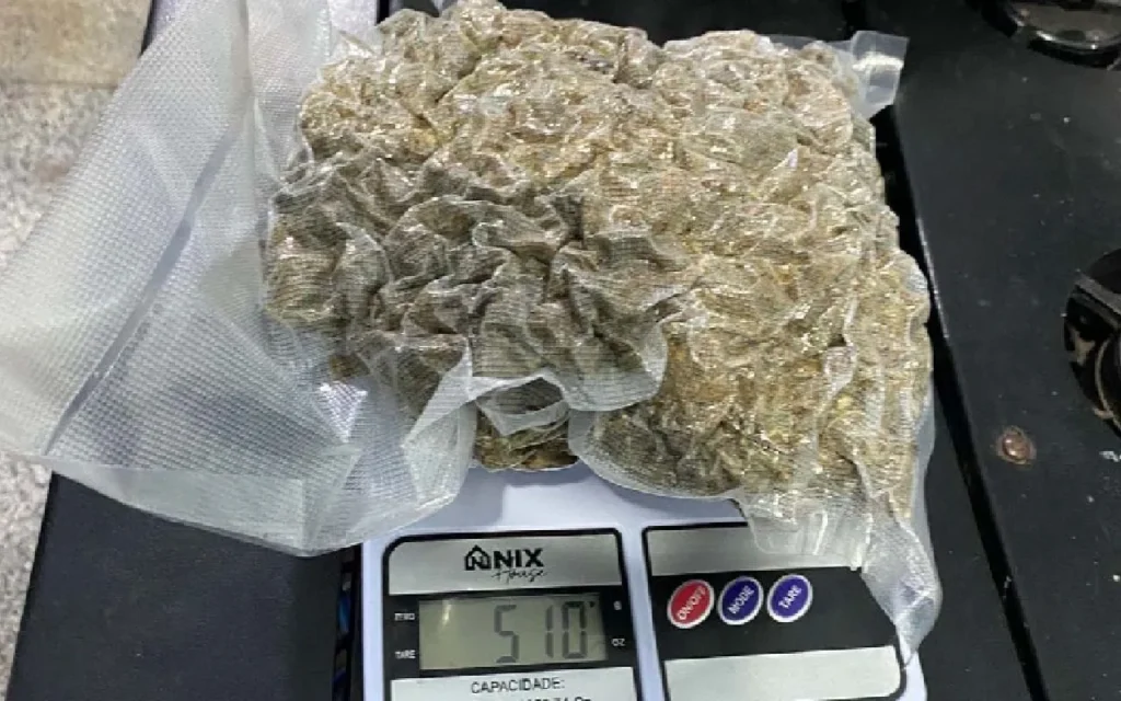 Operação Ágata Pantanal III apreende 3 kg de maconha em ônibus fiscalizado em Corumbá pela 18ª Brigada.