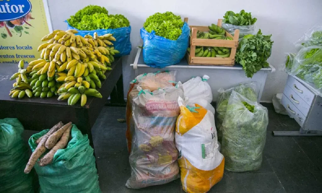 Agricultura familiar de Corumbá recebe incentivo recorde de R$ 600 mil 5 paa1 agricultura familiar