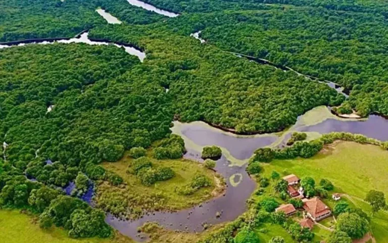 Queda de avião em Aquidauana, no Pantanal, deixou quatro mortos nesta terça-feira (23).