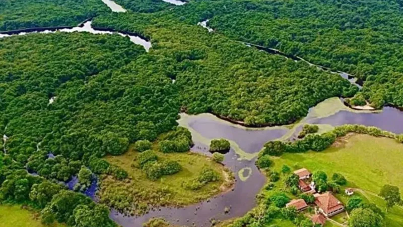Queda de avião em Aquidauana, no Pantanal, deixou quatro mortos nesta terça-feira (23).