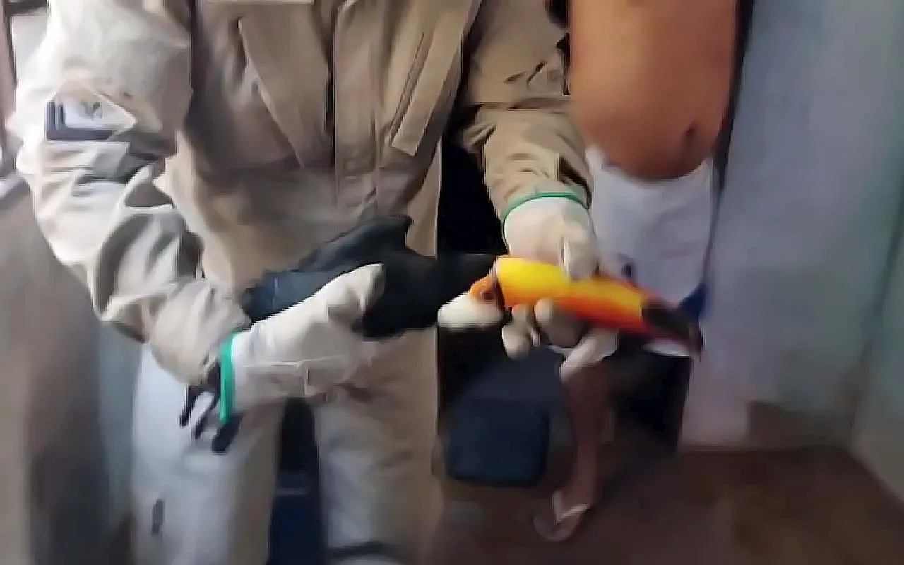 Bombeiros resgatam tucano ferido em residência de Corumbá e encaminham ave à Fundação de Meio Ambiente.