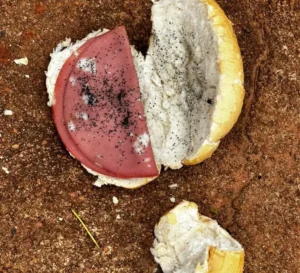 Tratorista confessa ter envenenado ex-enteado com sanduíche em Bataguassu 5 Leia mais sobre o artigo Tratorista confessa ter envenenado ex-enteado com sanduíche em Bataguassu