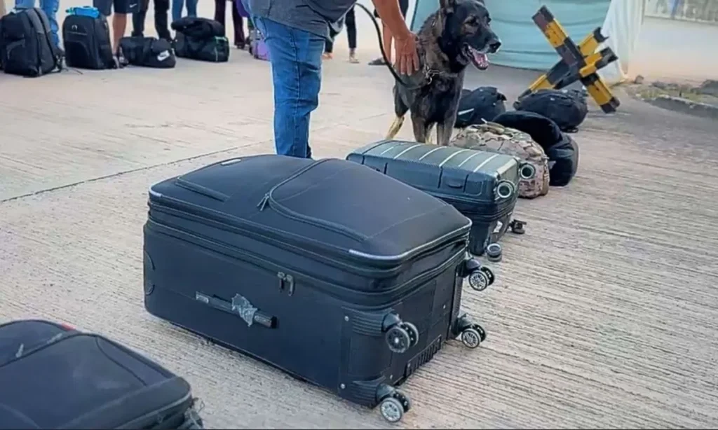 Receita Federal apreende cocaína em cápsulas e 1 tonelada de mercadorias irregulares em Corumbá 3 apreensao receita3 Receita Federal