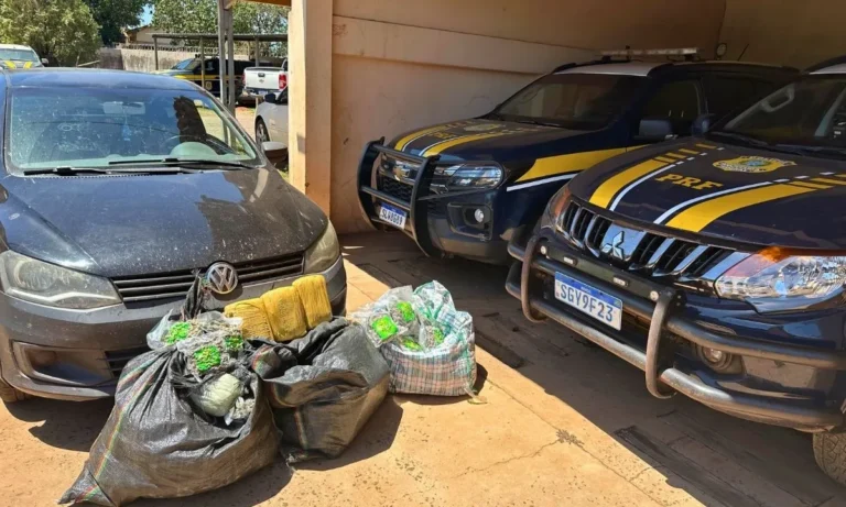 PRF apreende 47 kg de skunk em Anastácio, após perseguição na BR-262. Motorista abandonou a Saveiro e fugiu para a mata; droga foi levada à Polícia Civil.