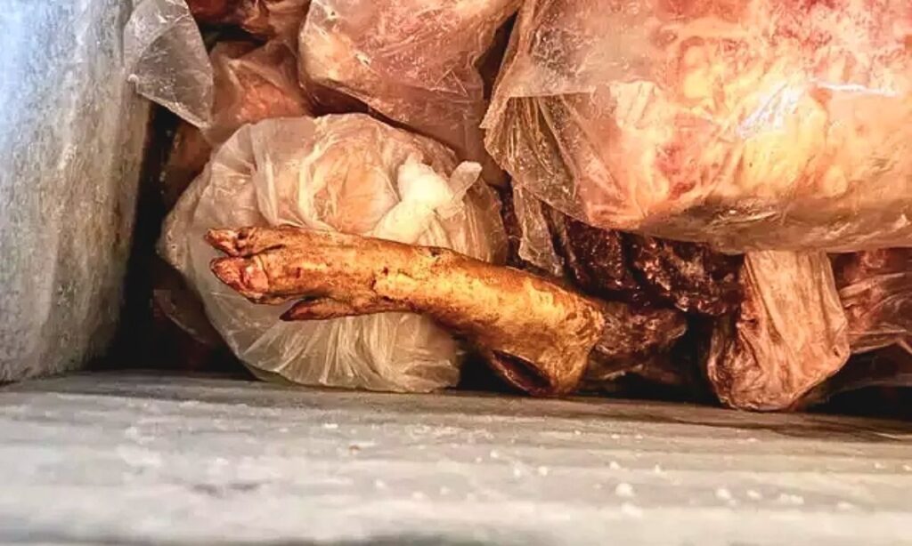 decon2 carne imprópria