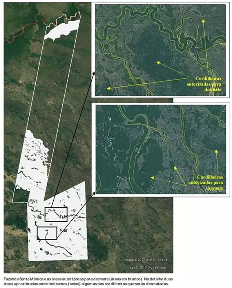 STJ manda revisar decisão sobre desmate na Fazenda Santa Mônica 2 desmate pantanal2 desmate