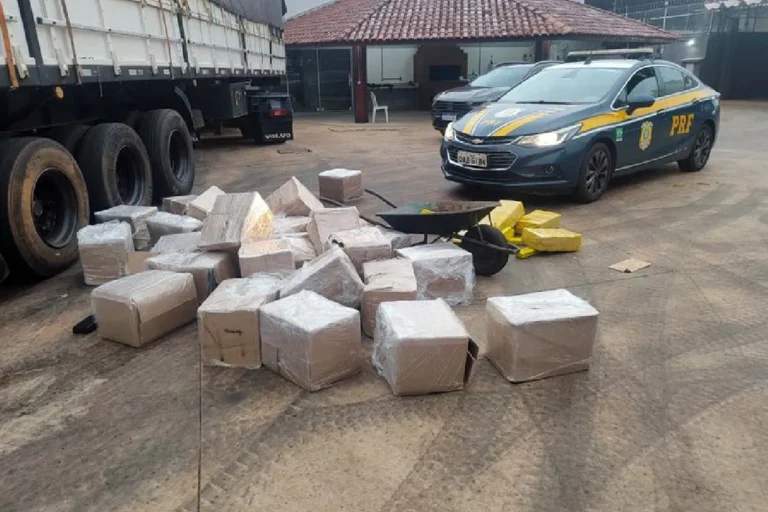 PRF apreende 978 kg de maconha escondidos em carga de óleo vegetal em Três Lagoas. Motorista foi preso e levado à Polícia Federal.