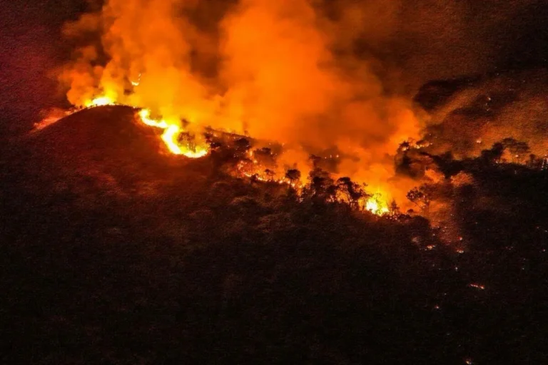 Incêndio florestal no Parque Taquari segue ativo desde 20 de setembro e já consumiu 10% da área em Alcinópolis.