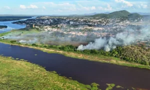 Incêndio na margem do Rio Paraguai mobiliza força-tarefa em Corumbá e ameaça captação de água e residências.