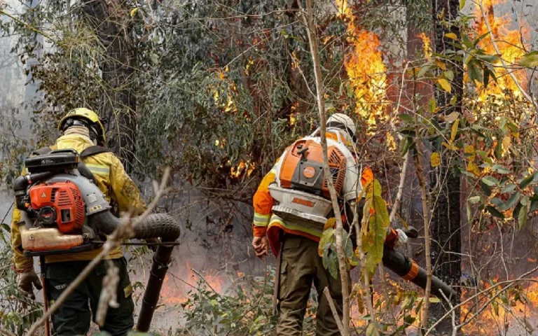 Incêndios na Serra do Amolar, em Corumbá, já duram 12 dias e devastaram mais de 20,5 mil hectares; brigadistas indígenas e órgãos oficiais seguem no combate.