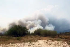 Leia mais sobre o artigo Novo incêndio atinge APA Baía Negra em Ladário